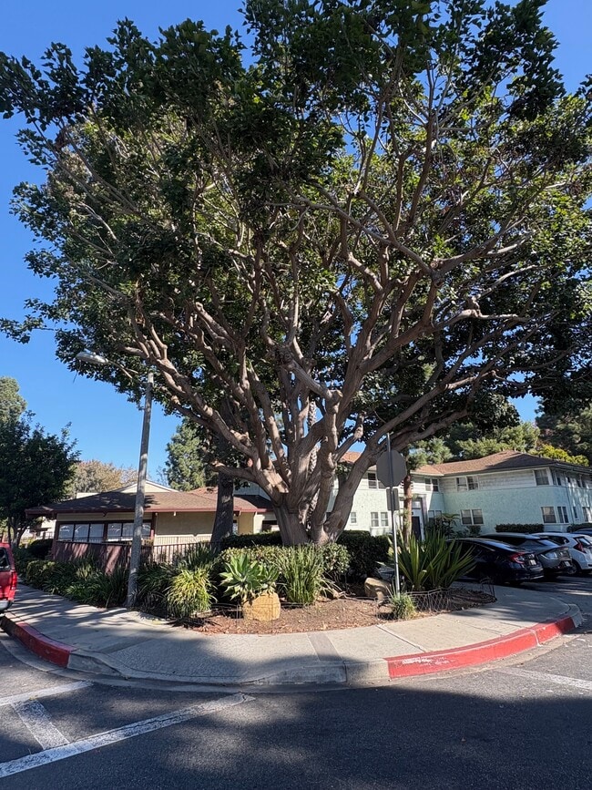 Building Photo - 5874 Bowcroft St