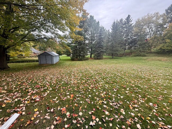 Building Photo - 3 Bed 1 Bath Single Family Home in Wausau