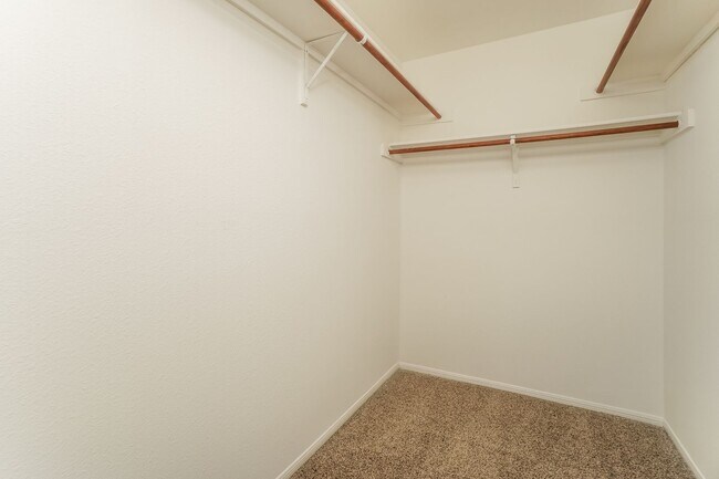 Building Photo - Beautiful Rental in Stone Oak Meadows – First Full Month FREE!