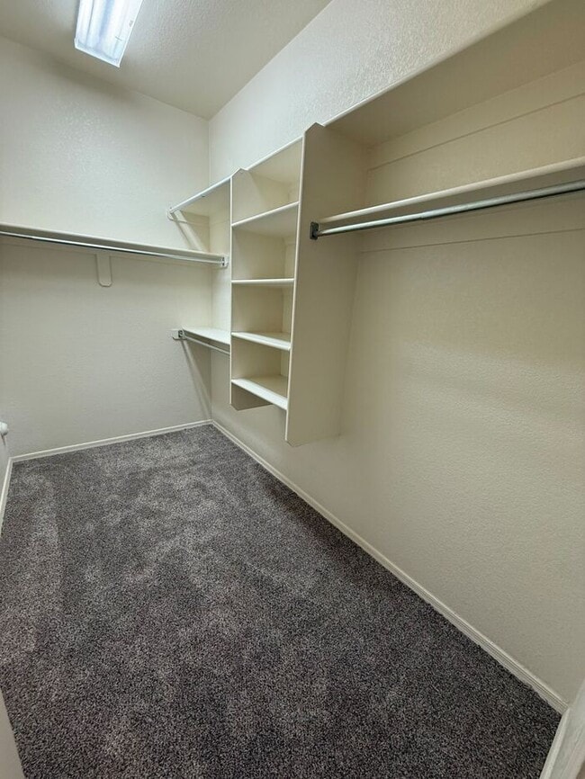 Building Photo - 10258 E Wasp Spring Dr