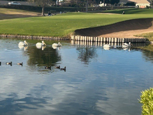 Building Photo - 3800 S Cantabria Cir