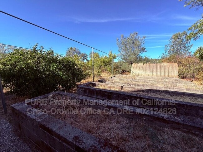 Building Photo - 2537 Oroville Quincy Hwy