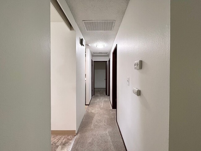 Building Photo - Bright and Open 3 Bed, 1 Bath House!
