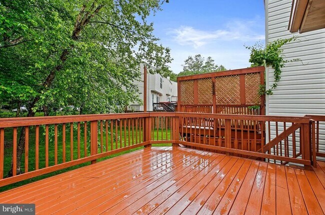 Building Photo - 15 Silver Birch Ct