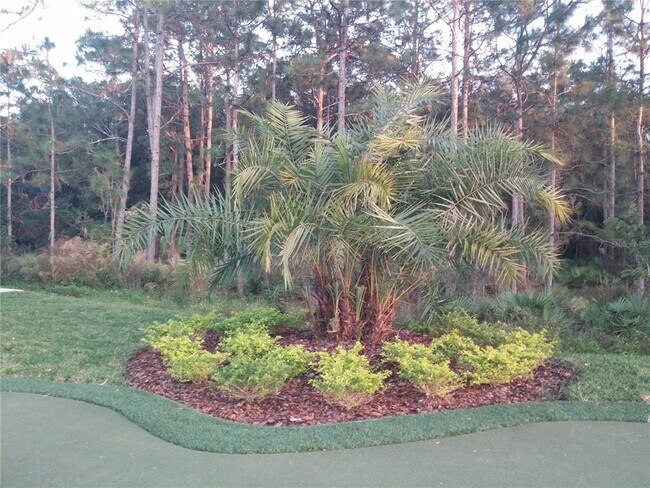 Building Photo - 20044 Date Palm Way