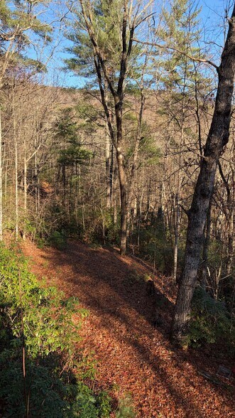 Building Photo - 56 Puff Hill Dr