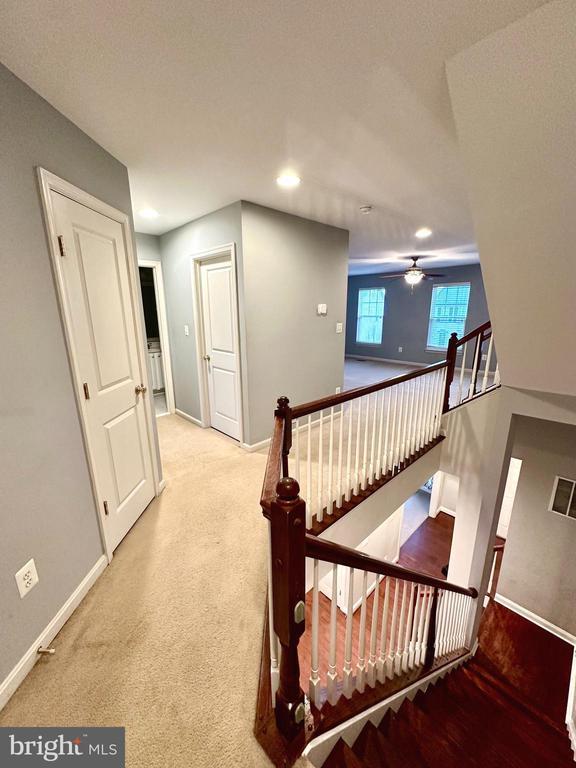Building Photo - 9032 Ribbon Falls Loop