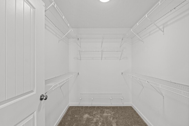 Building Photo - 7320 Paisley Cir