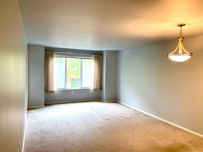 Building Photo - University District Condo