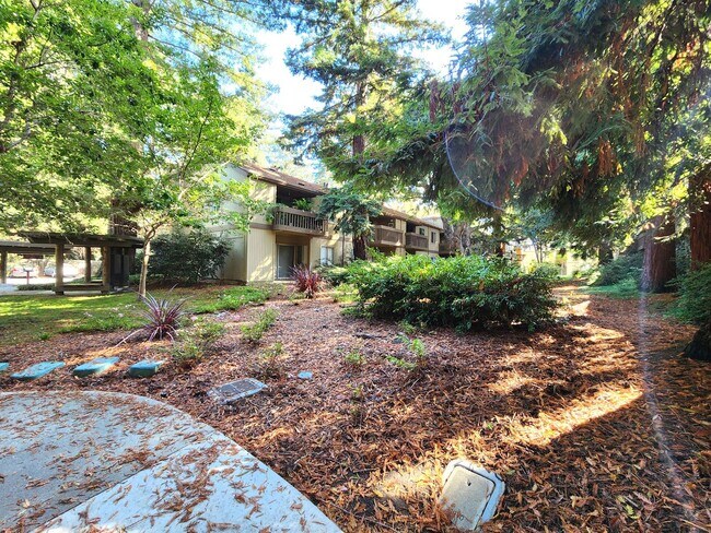 Building Photo - Charming 2BR/2BA Condo Steps from Downtown Mountain View