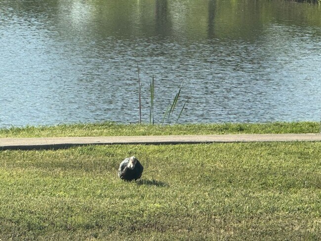 Building Photo - Coming soon... Move in May 8th, 2026