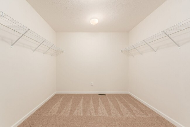 Building Photo - 317 Raccoon Ave