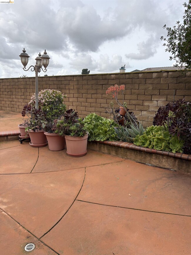 Building Photo - 1101 Hourglass Pl