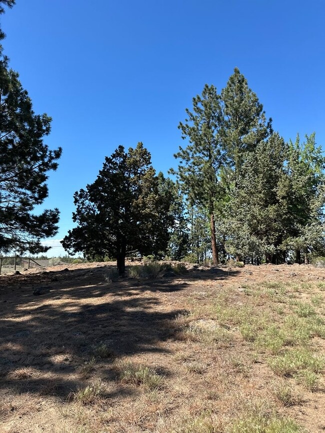 Building Photo - 3 Bed | 2 Bath | 1.17 Acres | Single-Level Home | Mountain Views