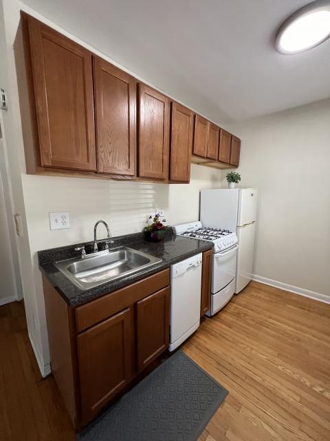Building Photo - 1 bedroom in Chicago IL 60613