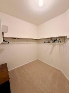 Building Photo - 3701 Canaan Matthew Dr