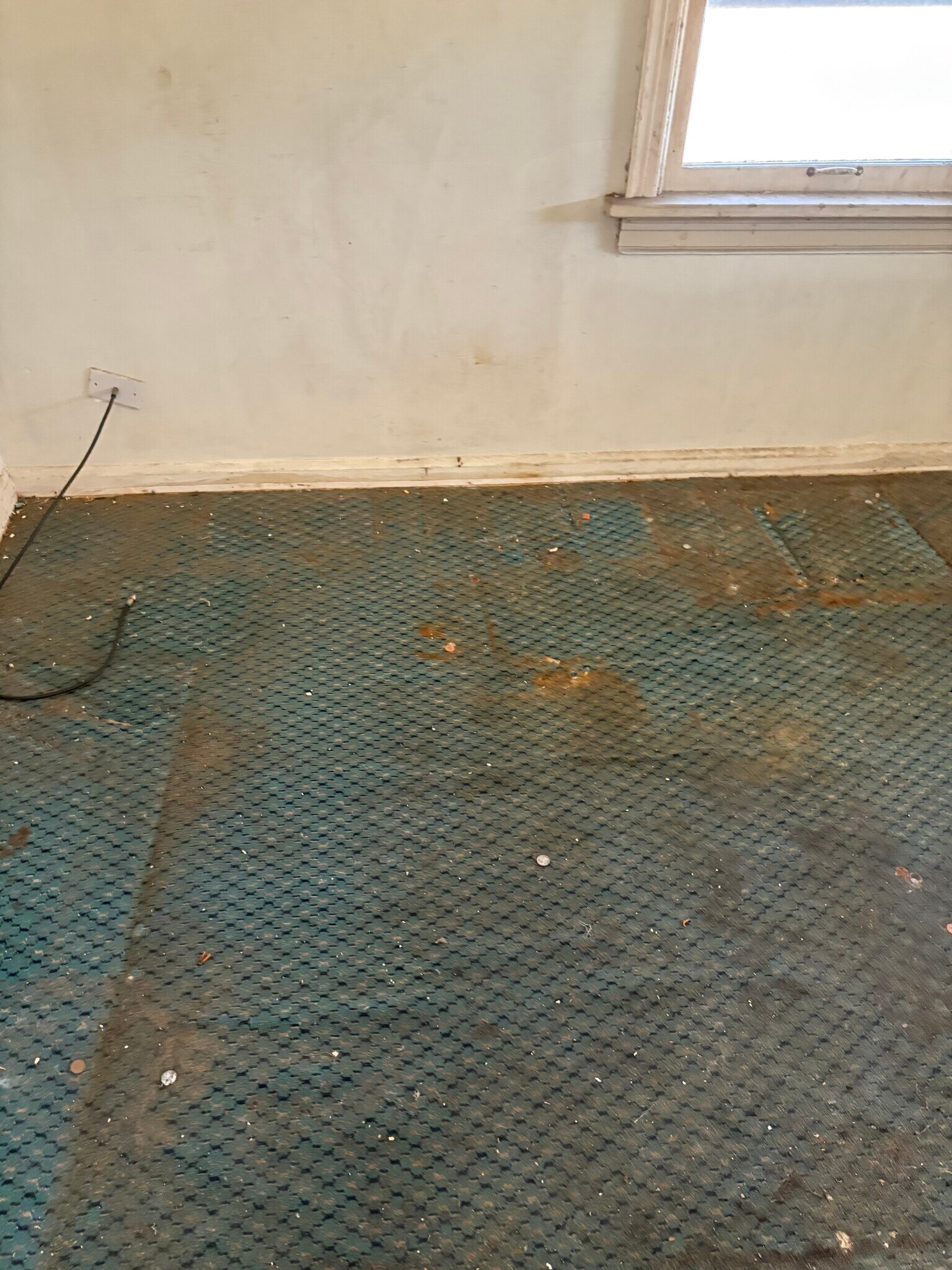 Building Photo - 8565 Lowell St