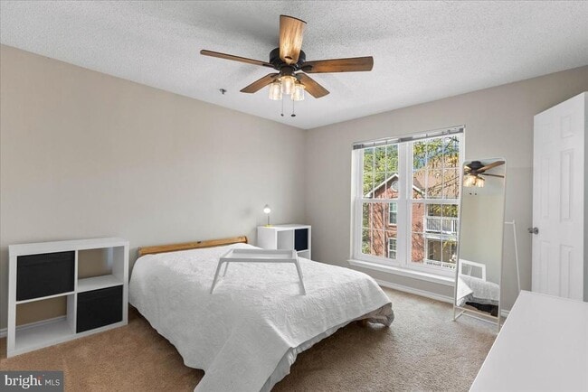 Building Photo - 1524 Lincoln Way