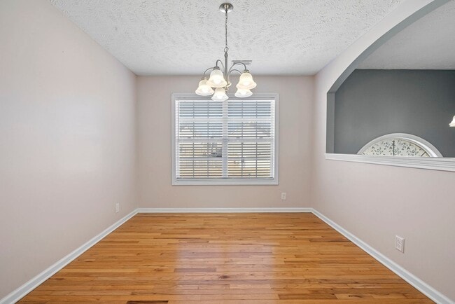 Building Photo - Pet Friendly Five Bedroom with Basement!