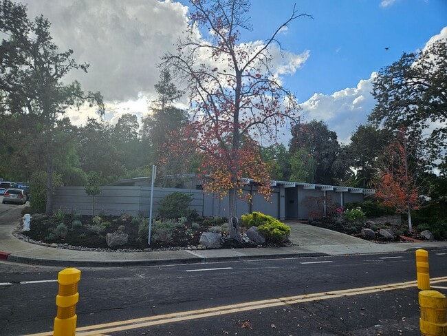 Building Photo - Eichler home near downtown Walnut Creek