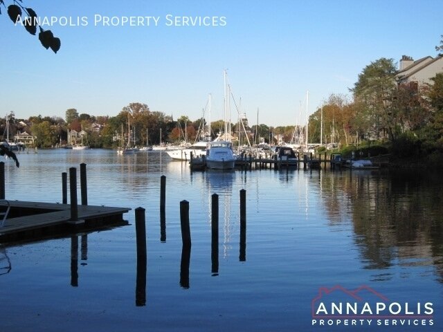 Building Photo - 1146 Cove Rd