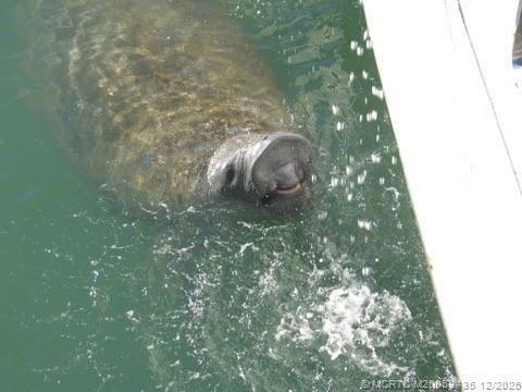 Building Photo - 513 Gunwale Ln