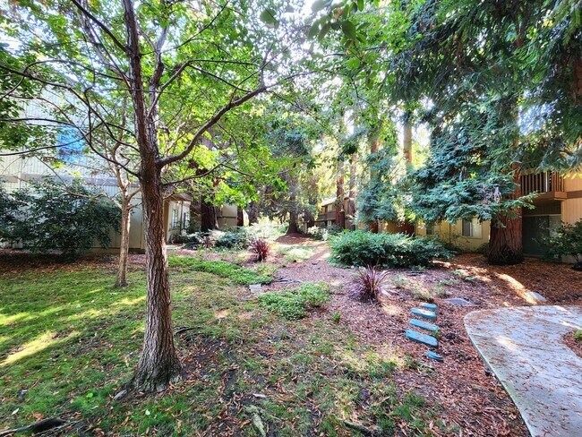 Building Photo - Charming 2BR/2BA Condo Steps from Downtown Mountain View