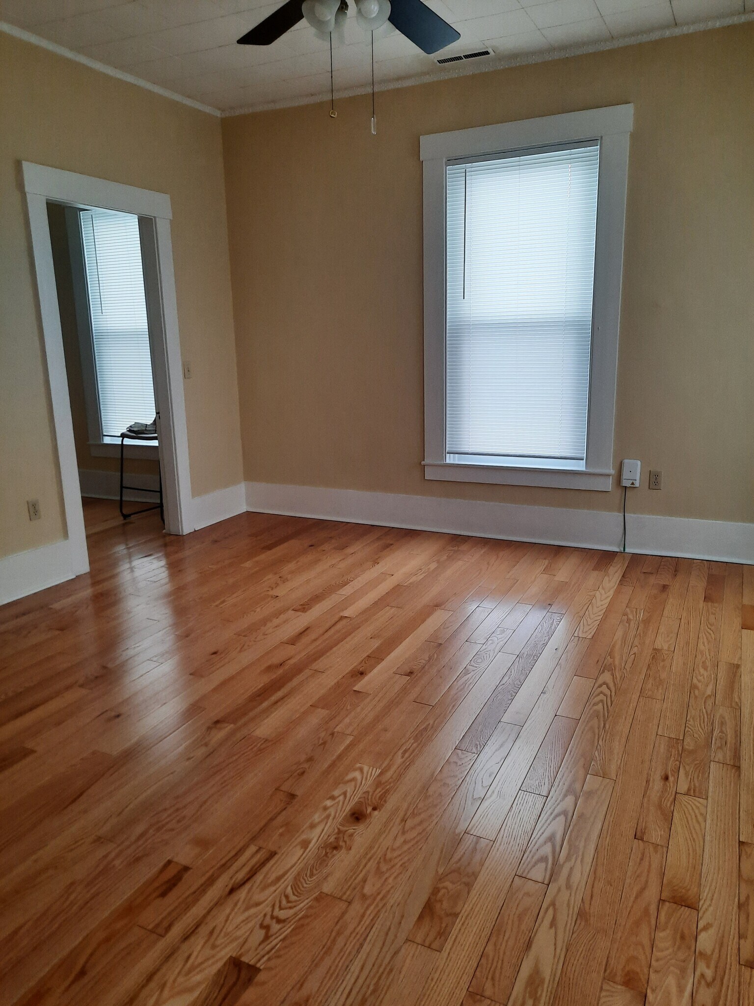 Bedroom - 31B Kinsley St