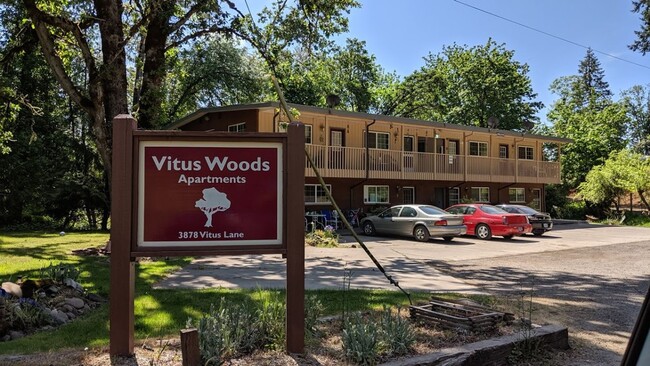 Building Photo - Nice 1 bed-1 bath apartment in Springfield