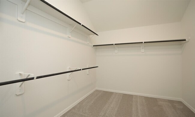 Building Photo - 427 Fields Forest Ln