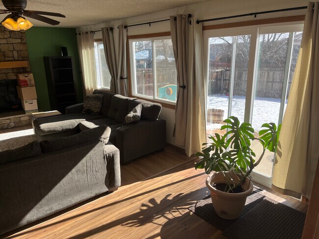 Open backyard and raised garden bed with auto watering - 2619 15th Ave