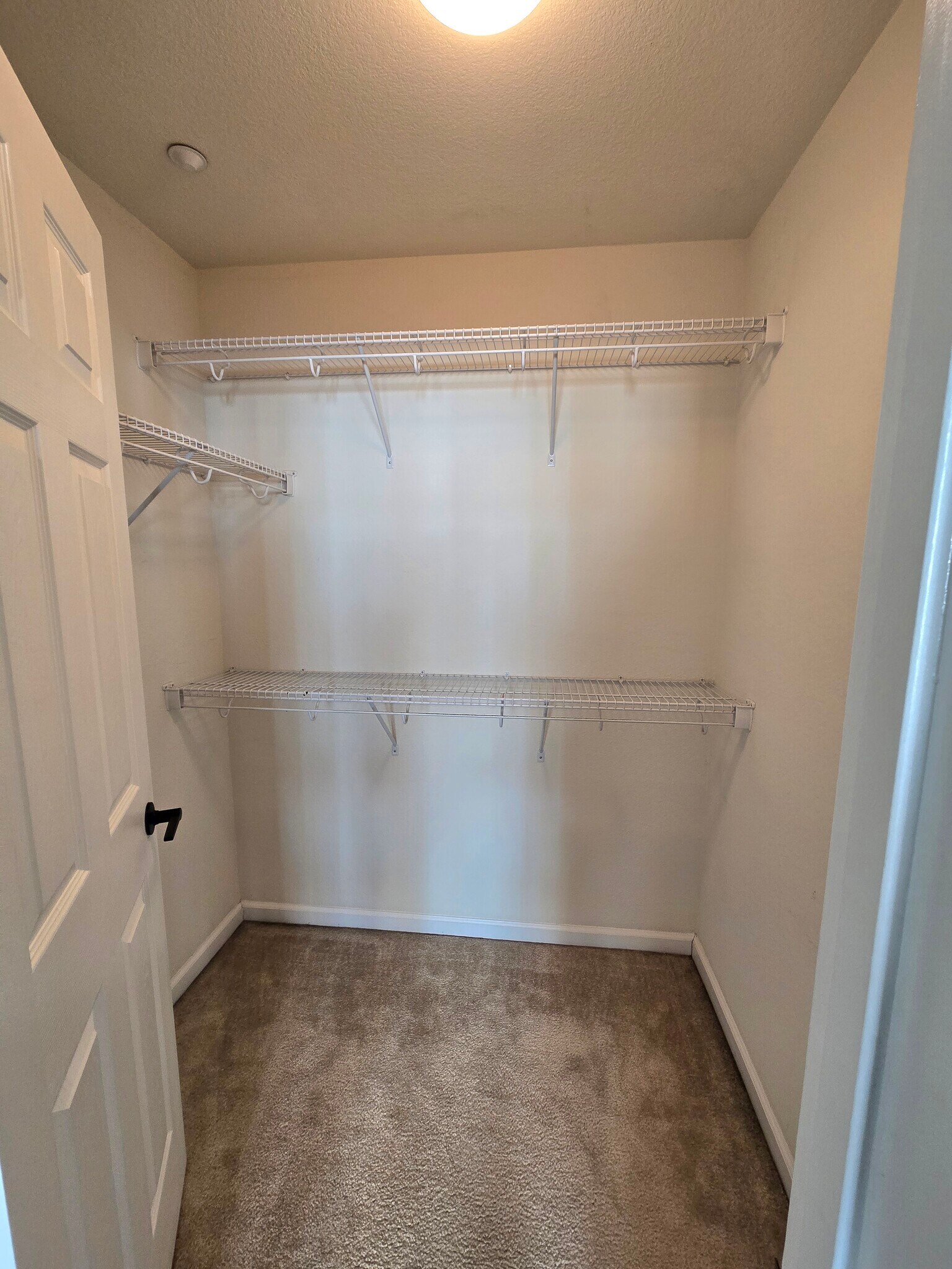 Building Photo - 4353 Fitzwilliam St