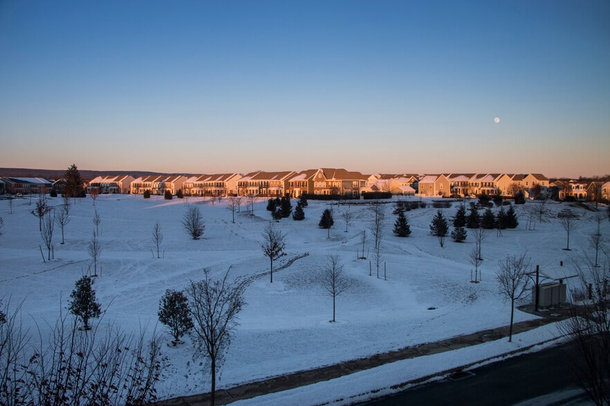 View of Park - 2B Ellington Road