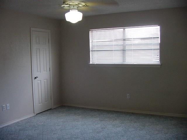 Building Photo - 3622 Green Hollow Dr