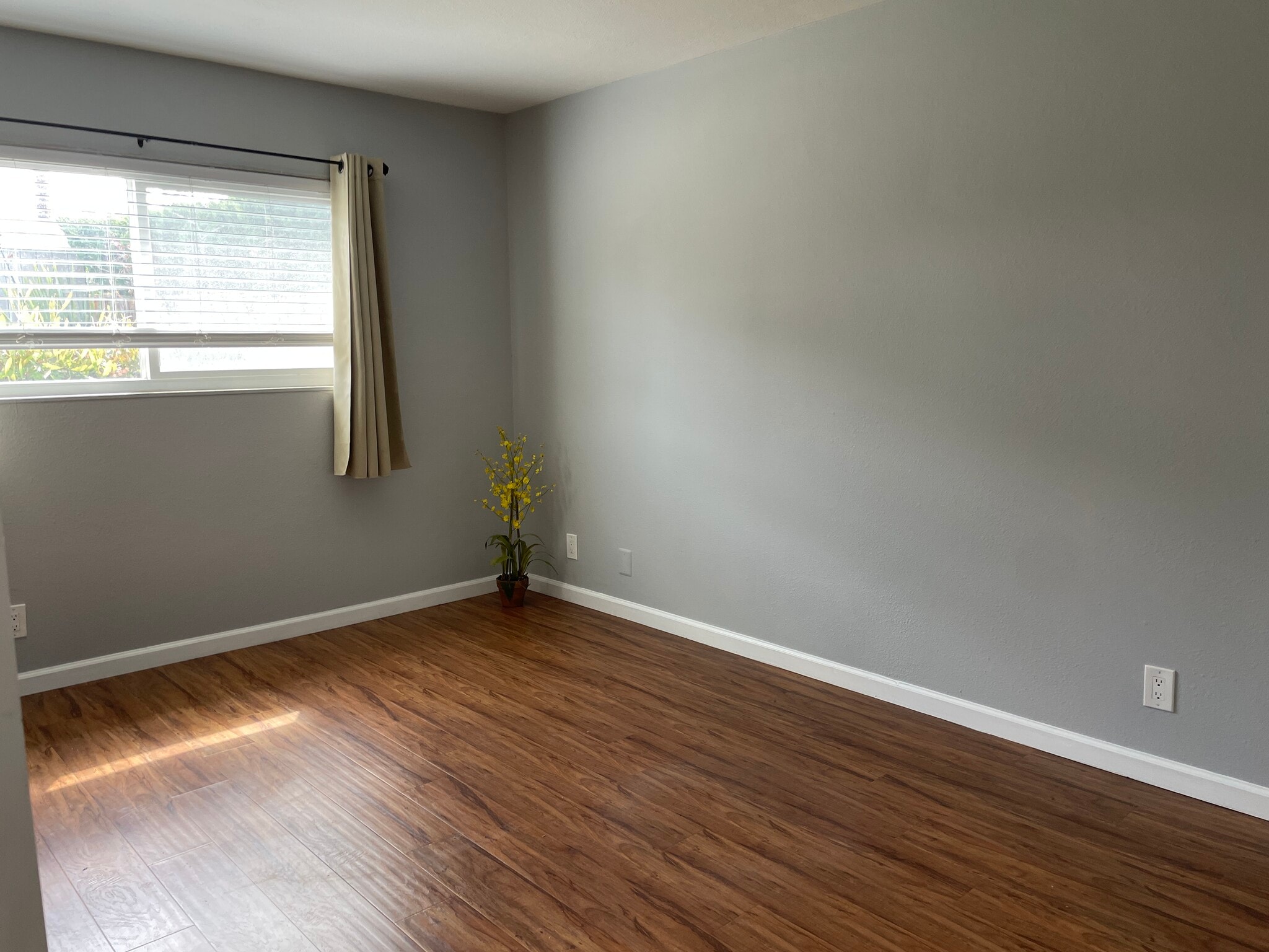 Building Photo - 624 Bella Dr