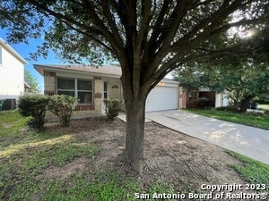 Building Photo - 9411 Massaro St