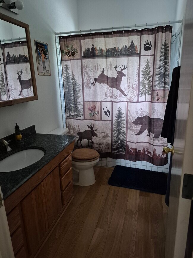 Building Photo - 11059 Zermatt Dr