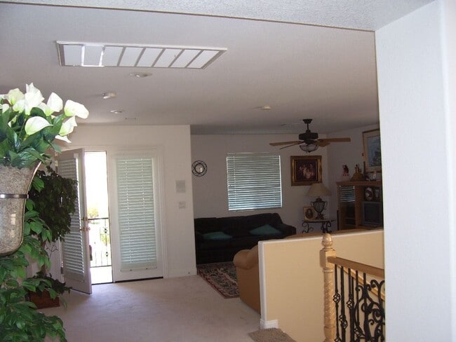 Building Photo - LACEBARK PINE