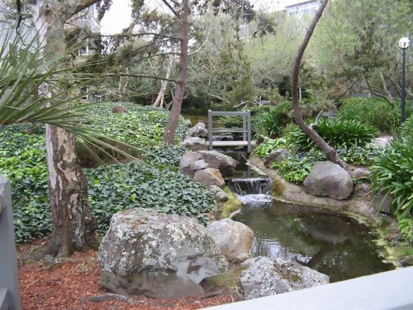 More waterfalls and greenery - 15 Red Rock Way