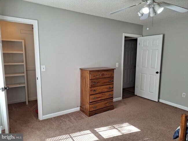 Building Photo - 12 Albano Ct