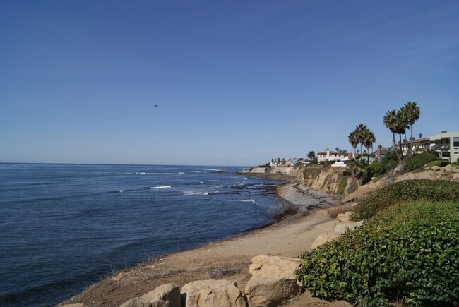 Building Photo - OPEN HOUSE: 12/27 & 12/28 1-2PM ~ Studio in La Jolla ~ 1 MILE from Beach!