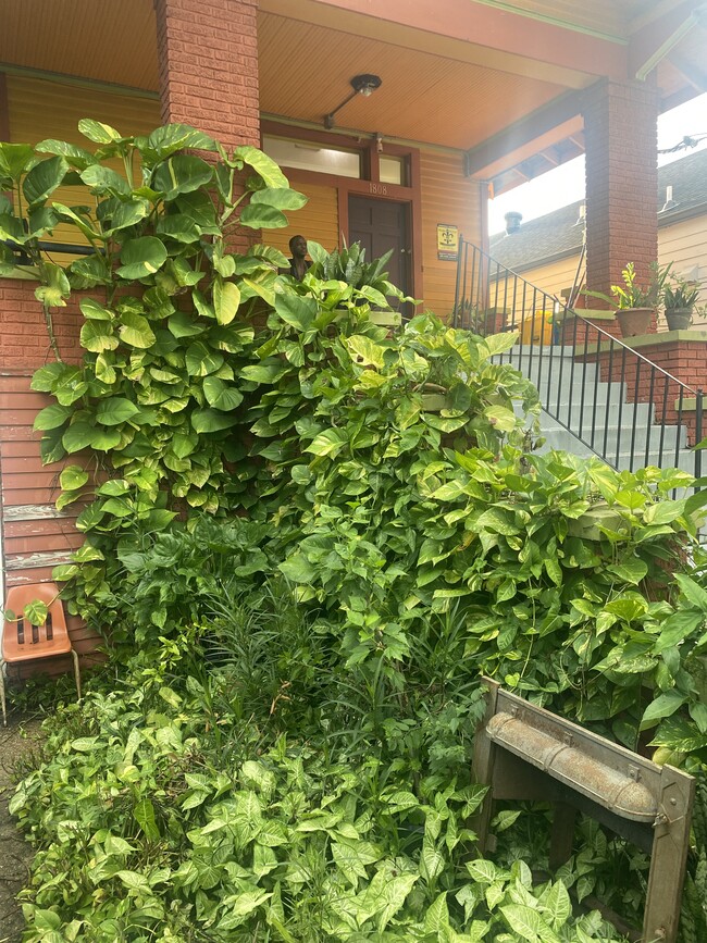 Building Photo - 1808 Elysian Fields Ave