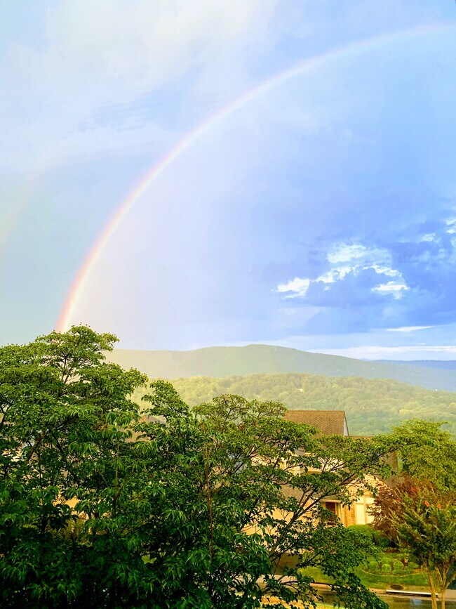 Building Photo - 4903 Hunting Hills Ct