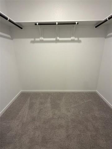 Building Photo - 1861 Ventasso Blvd