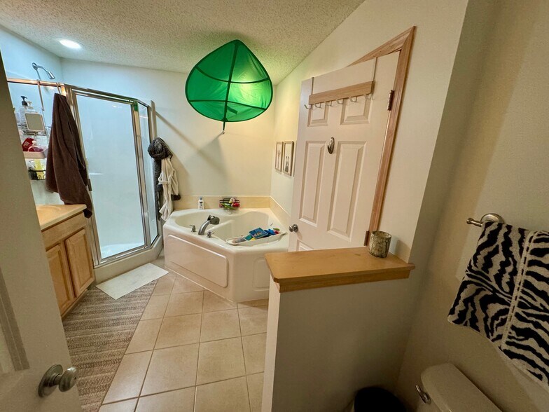 Master Bathroom - 11217 Kinsley St