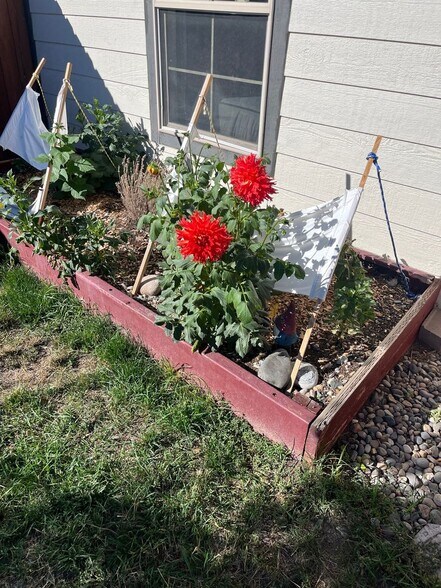 Building Photo - 1766 Buckrake Ave