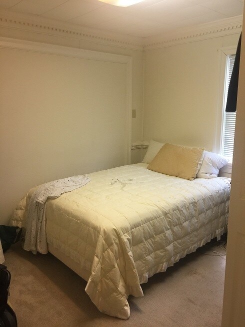 Building Photo - First floor apartment in the heart of the City of Williamsburg! Available April 1st 2026!