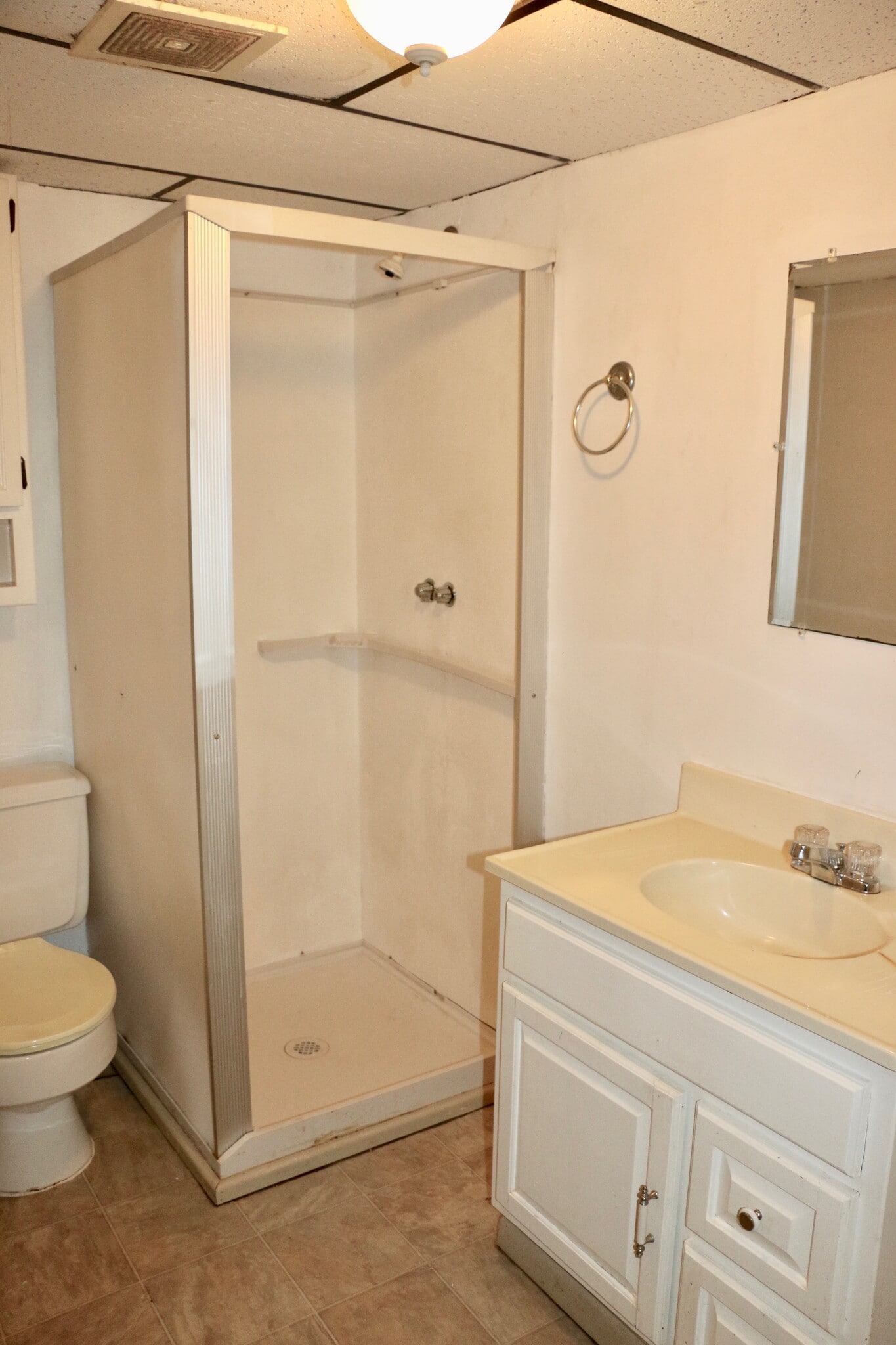 Basement Bathroom - 303 W Pleasant St