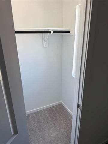 Building Photo - 12128 Thoroughbred Dr