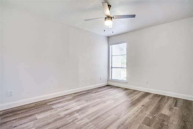 Building Photo - 10636 Pagewood Dr